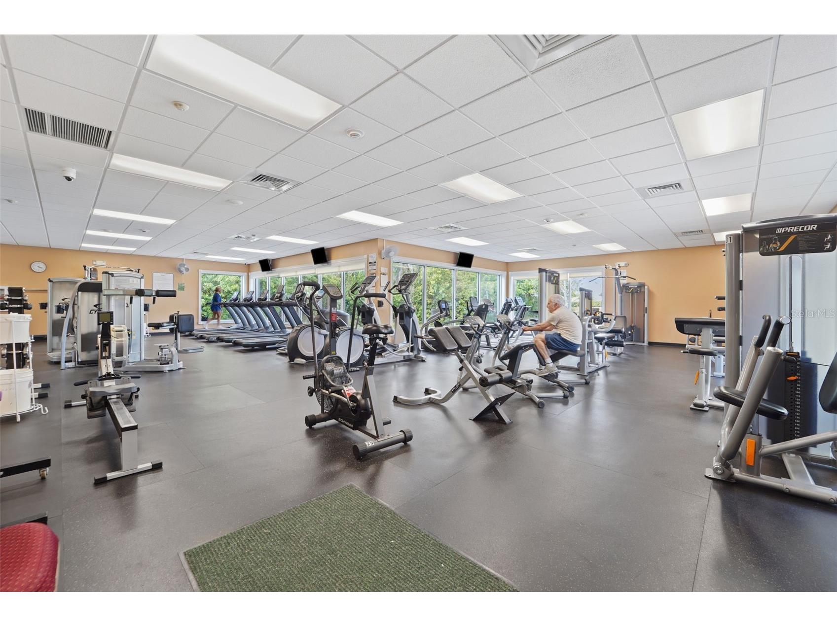 1031 Almondwood Drive Trinity FL 34655 TB8477567 image34