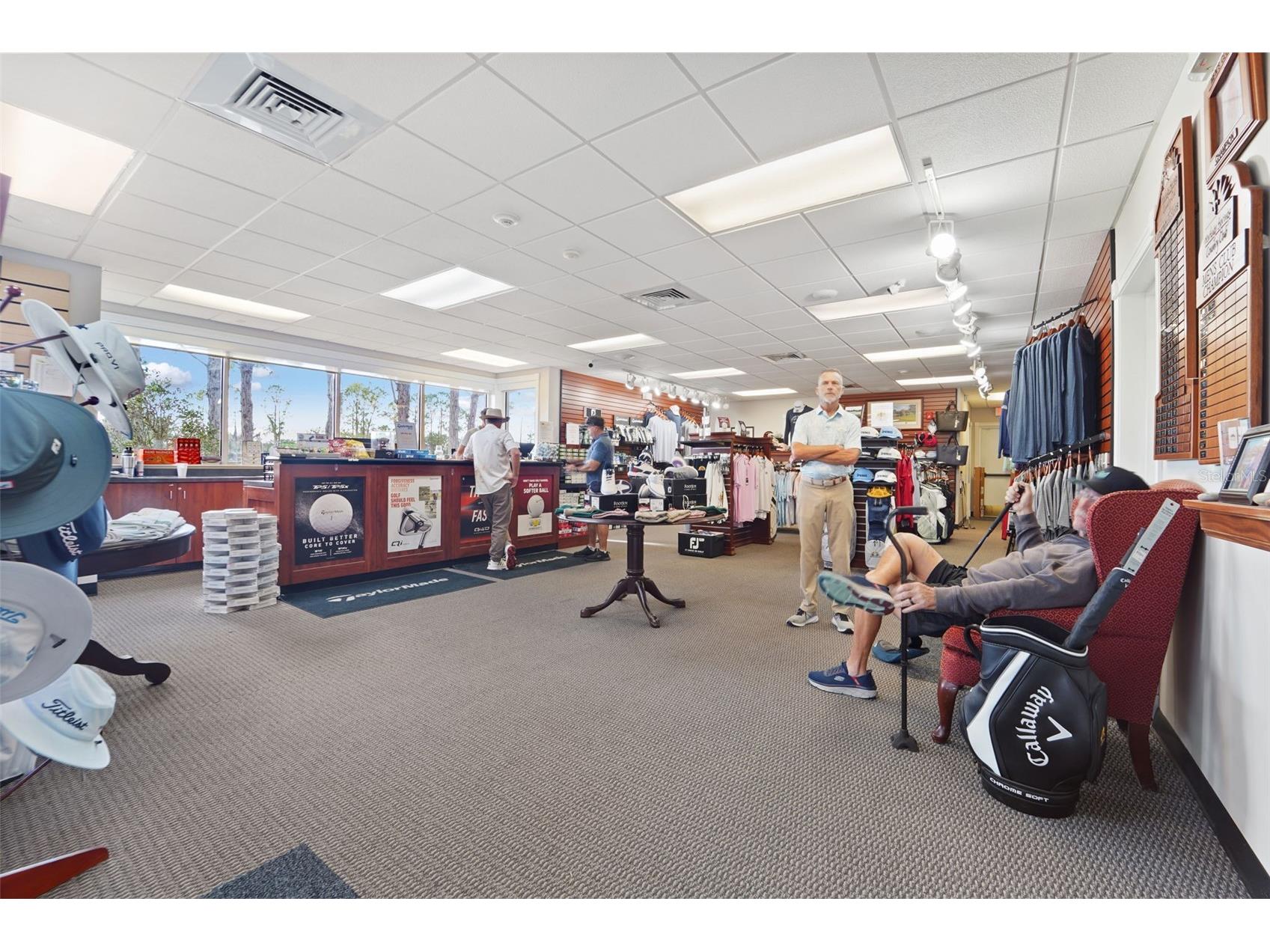 1031 Almondwood Drive Trinity FL 34655 TB8477567 image35