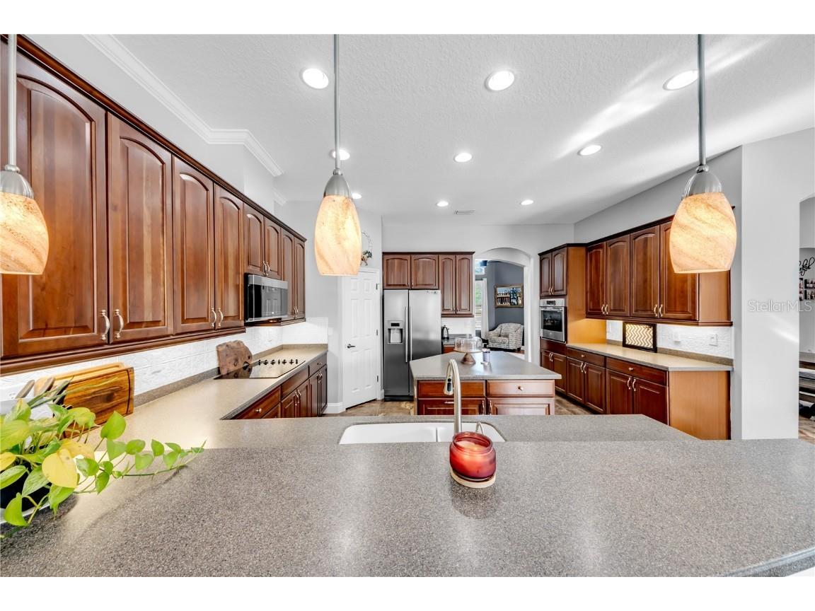 1031 Emerald Hill Way Valrico FL 33594 TB8455752 image21