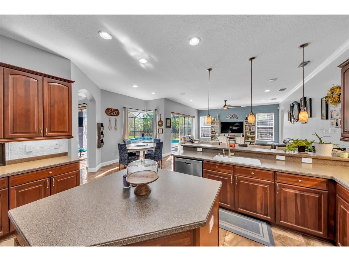 1031 Emerald Hill Way Valrico FL 33594 TB8455752 image22