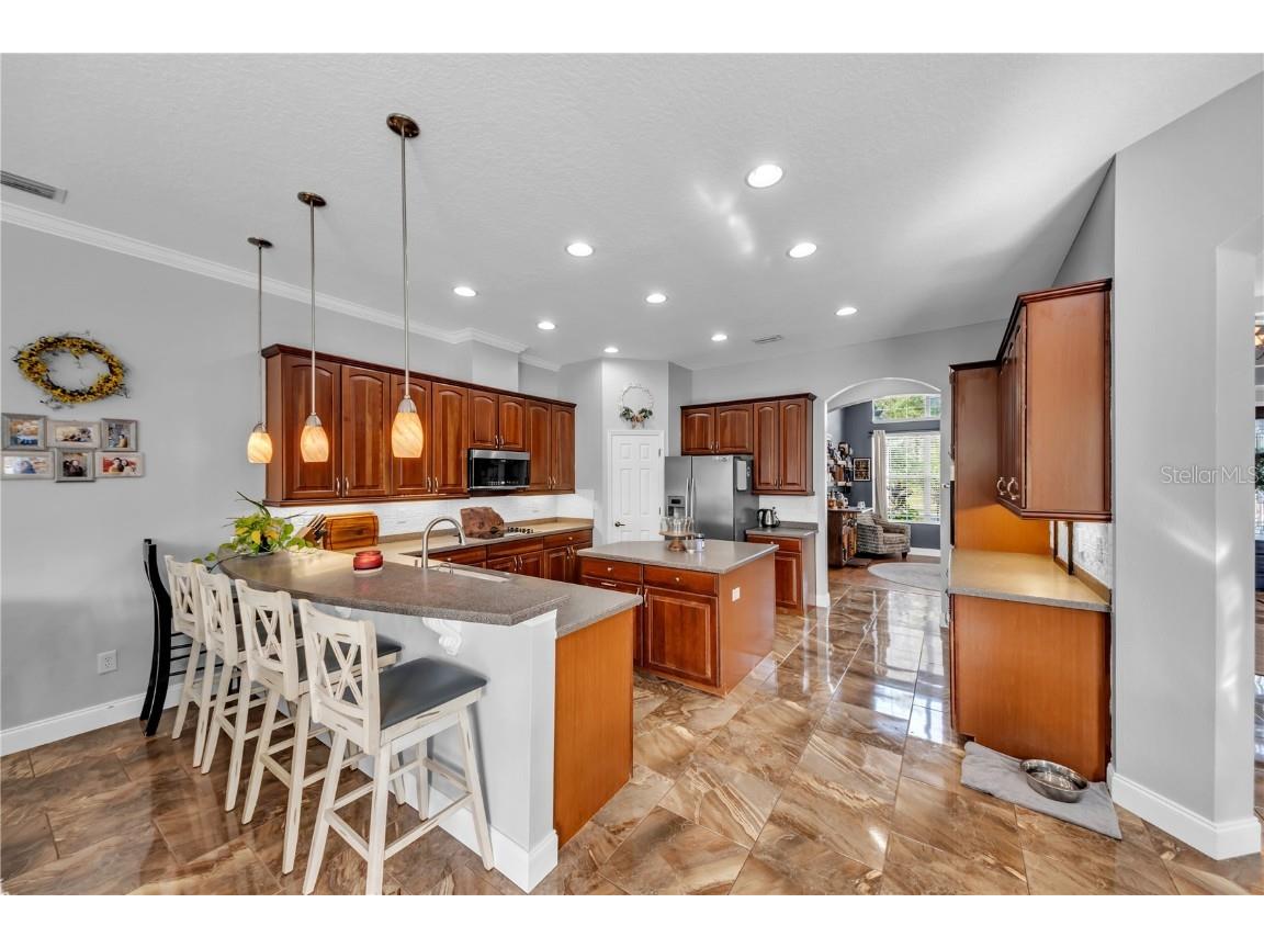 1031 Emerald Hill Way Valrico FL 33594 TB8455752 image24