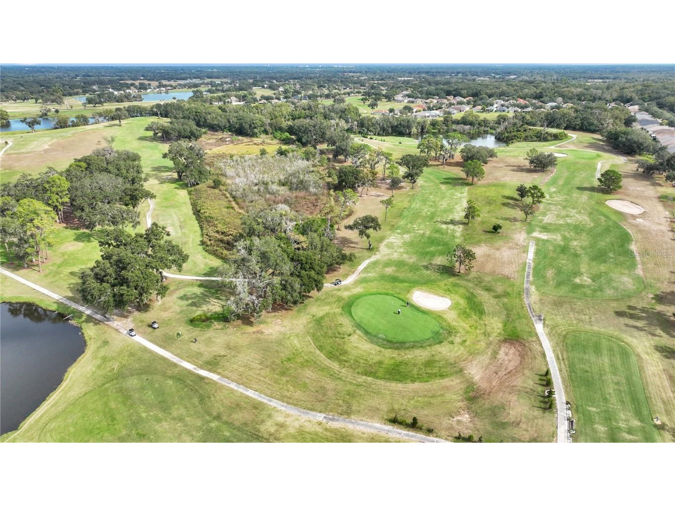 1031 Emerald Hill Way Valrico FL 33594 TB8455752 image57