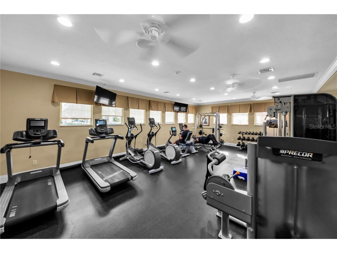 1031 Emerald Hill Way Valrico FL 33594 TB8455752 image66