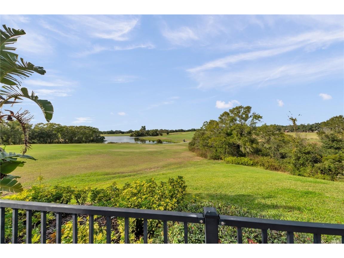 1031 Emerald Hill Way Valrico FL 33594 TB8455752 image69