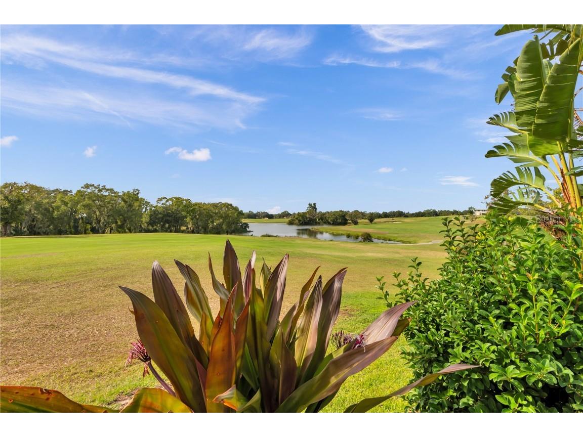 1031 Emerald Hill Way Valrico FL 33594 TB8455752 image70