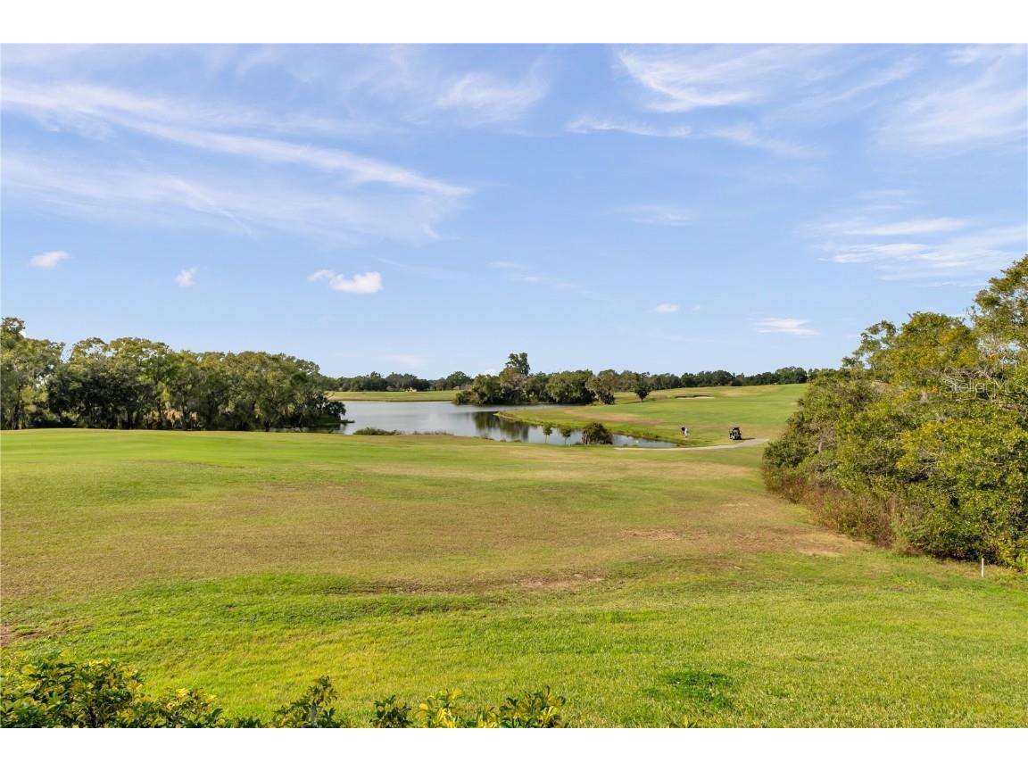 1031 Emerald Hill Way Valrico FL 33594 TB8455752 image71