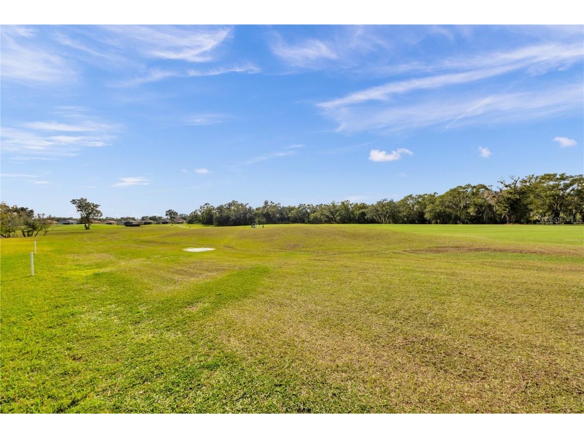 1031 Emerald Hill Way Valrico FL 33594 TB8455752 image72