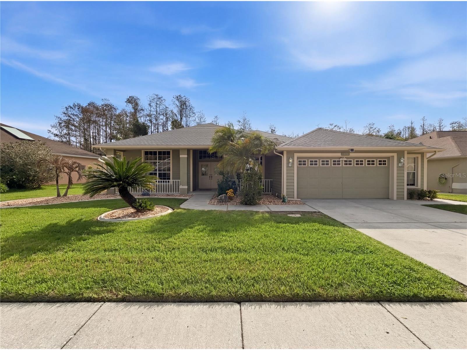 1031 Maravista Drive Trinity FL 34655 TB8484731 image65