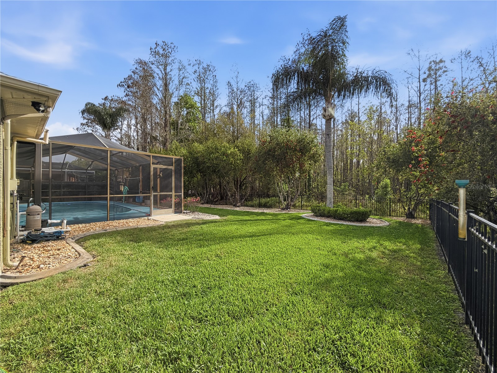 1031 Maravista Drive Trinity FL 34655 TB8484731 image75