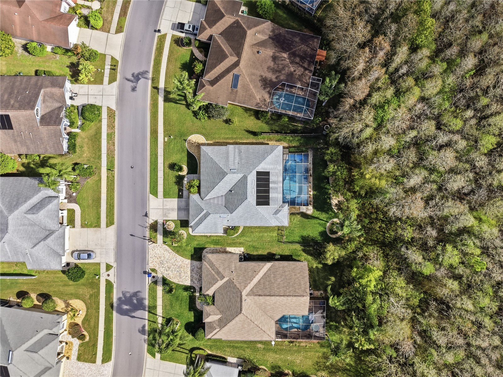 1031 Maravista Drive Trinity FL 34655 TB8484731 image78