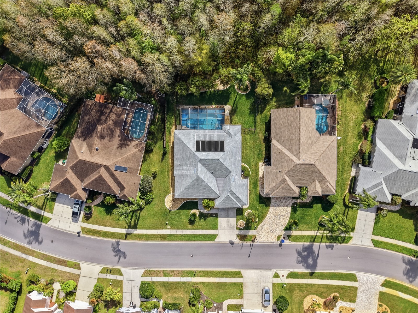 1031 Maravista Drive Trinity FL 34655 TB8484731 image80