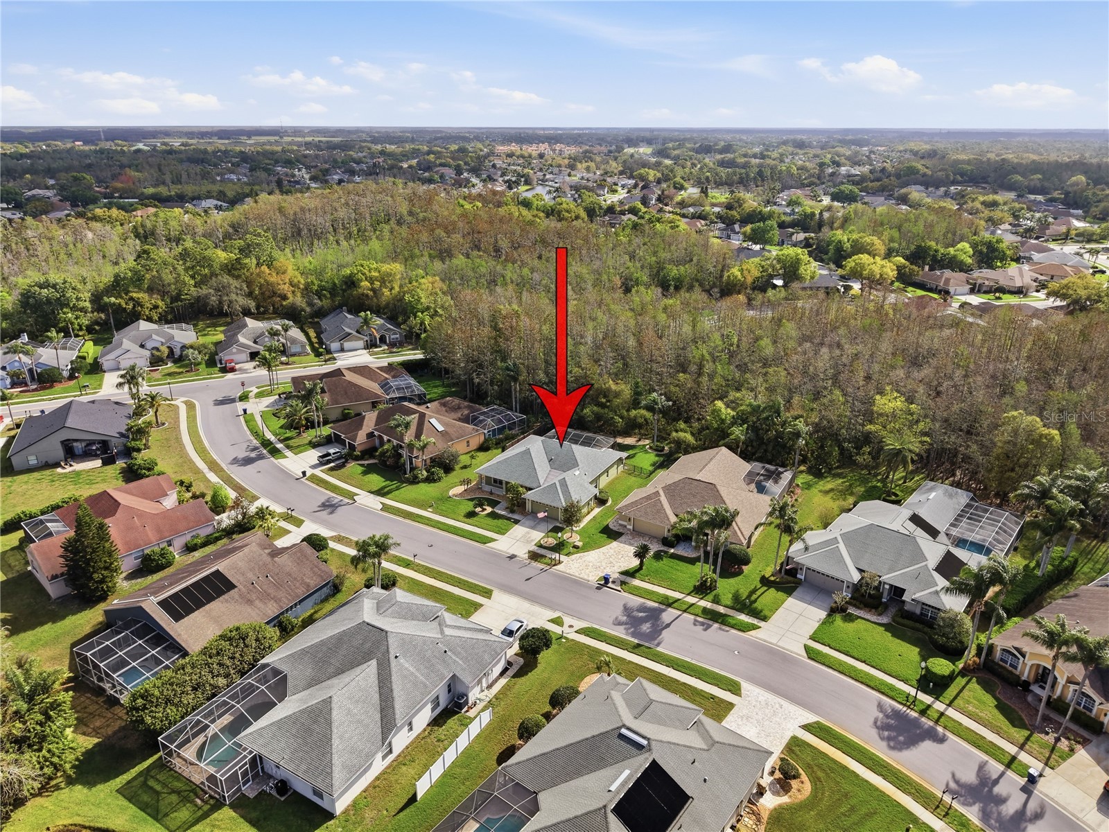 1031 Maravista Drive Trinity FL 34655 TB8484731 image82