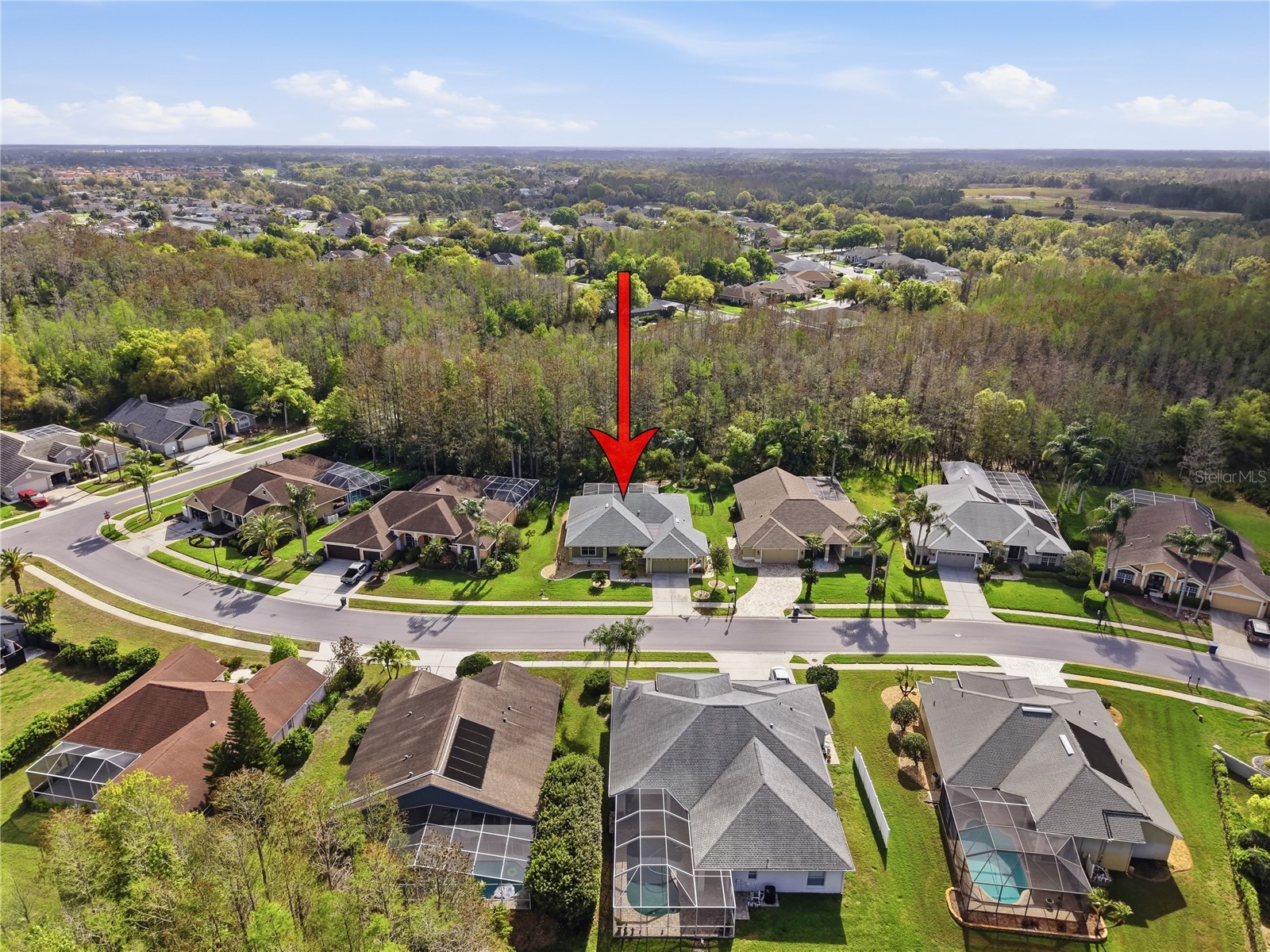 1031 Maravista Drive Trinity FL 34655 TB8484731 image83