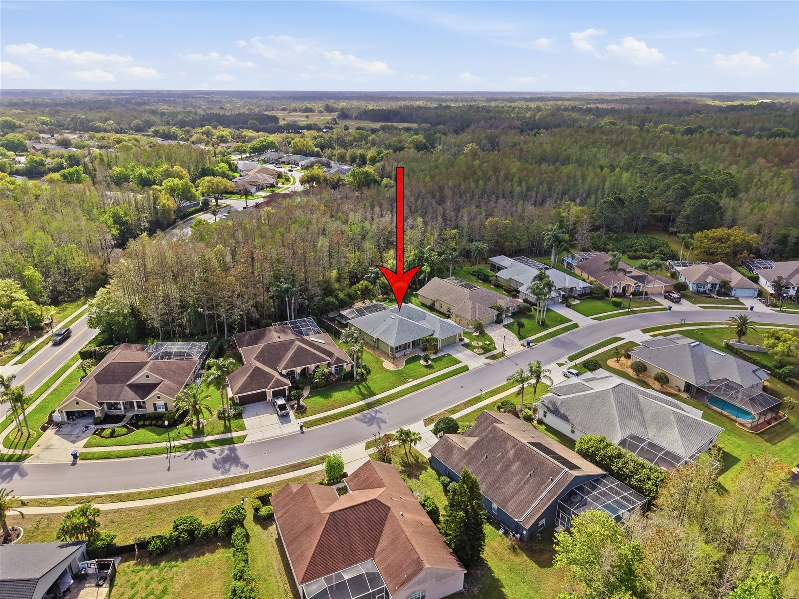 1031 Maravista Drive Trinity FL 34655 TB8484731 image85