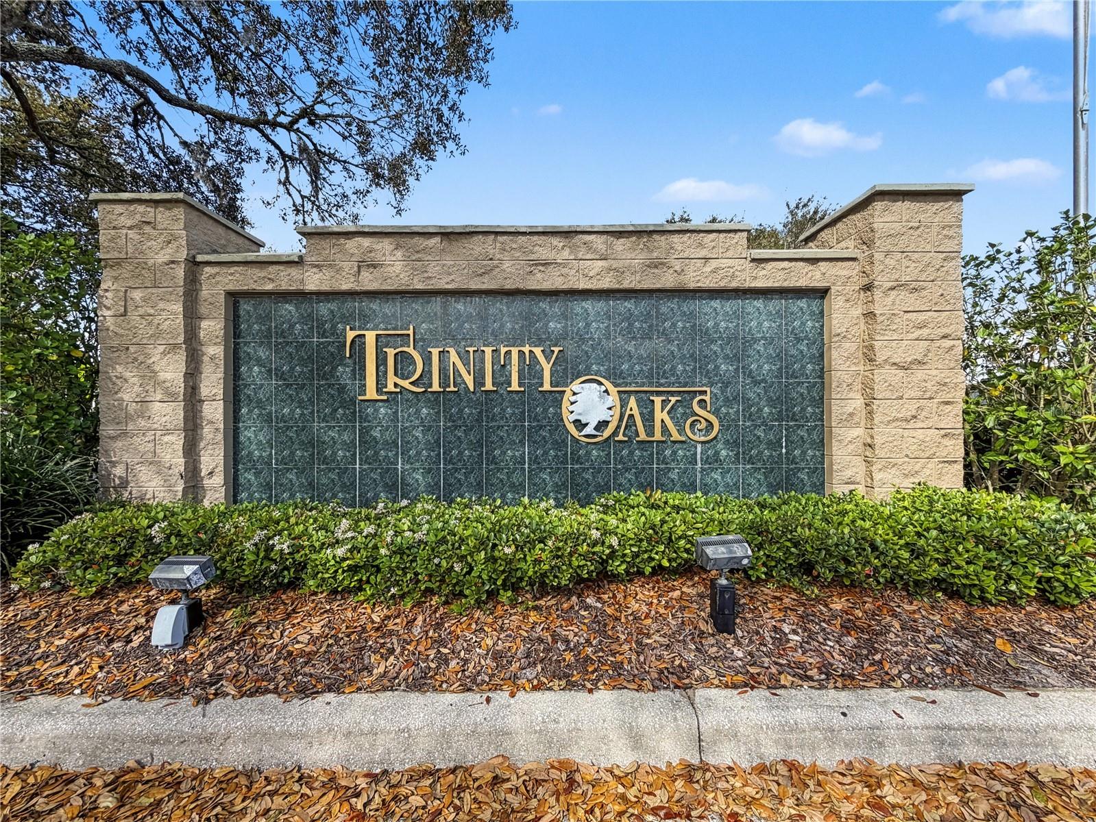 1031 Maravista Drive Trinity FL 34655 TB8484731 image87