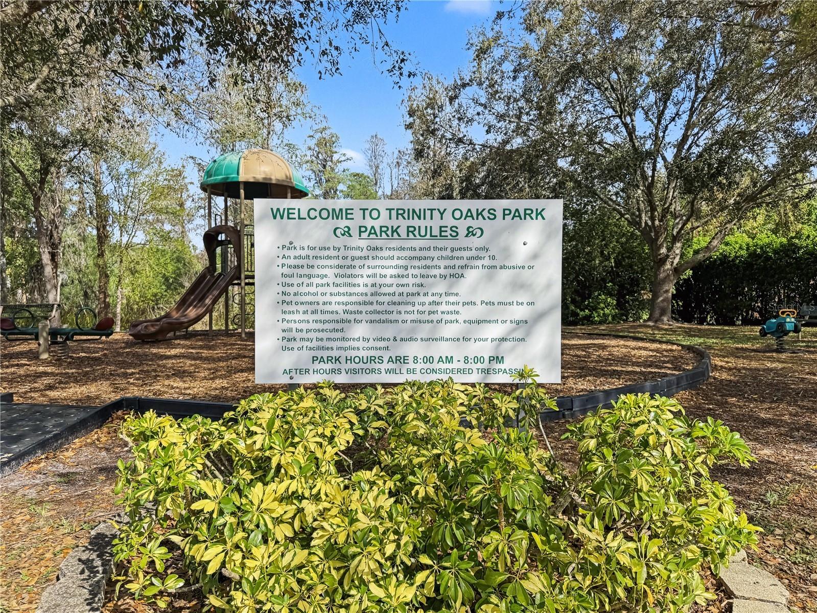 1031 Maravista Drive Trinity FL 34655 TB8484731 image88