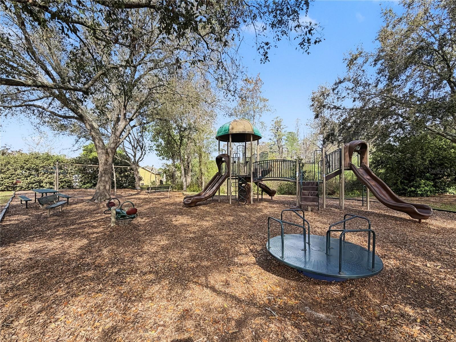 1031 Maravista Drive Trinity FL 34655 TB8484731 image89
