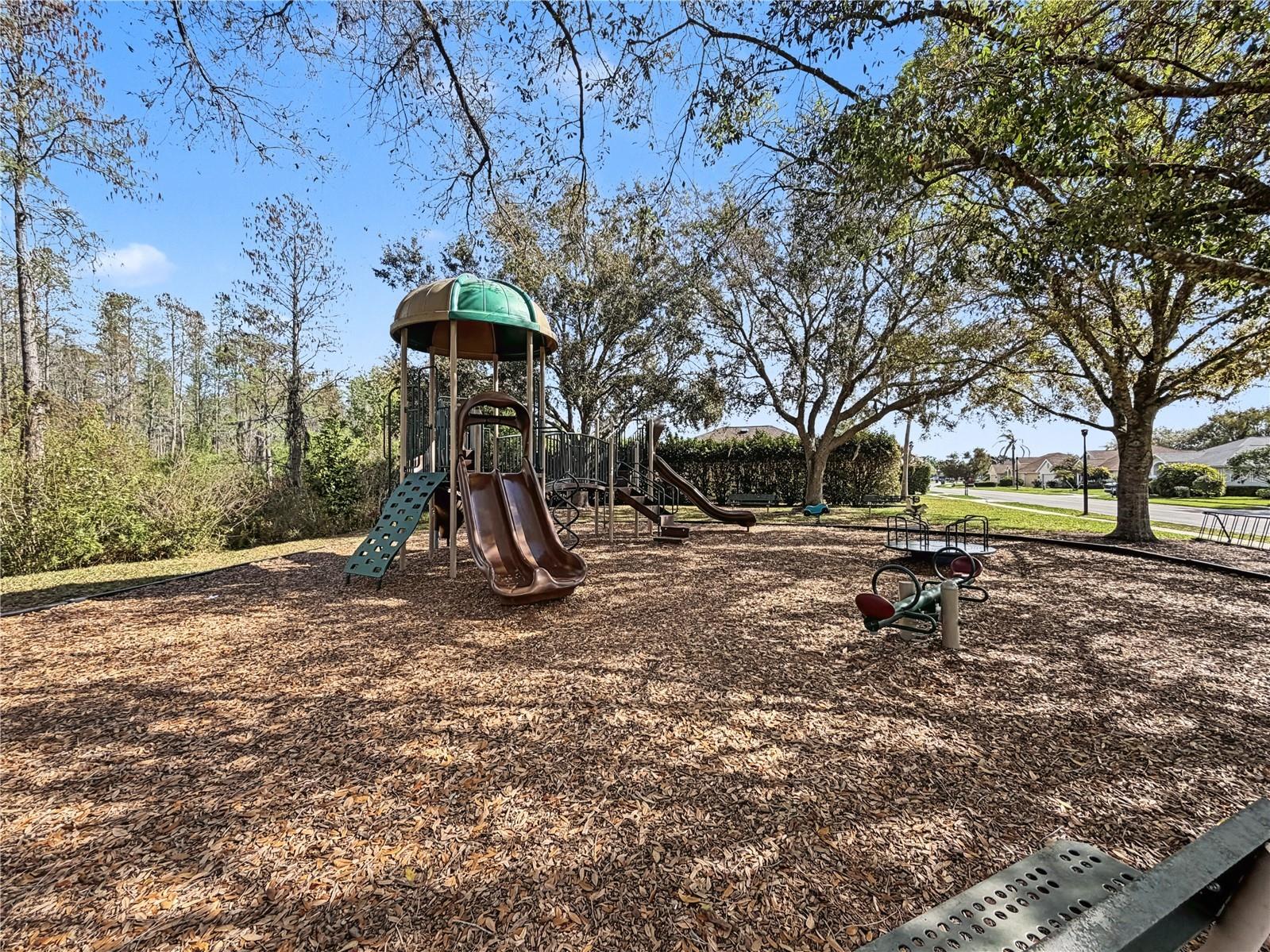 1031 Maravista Drive Trinity FL 34655 TB8484731 image90