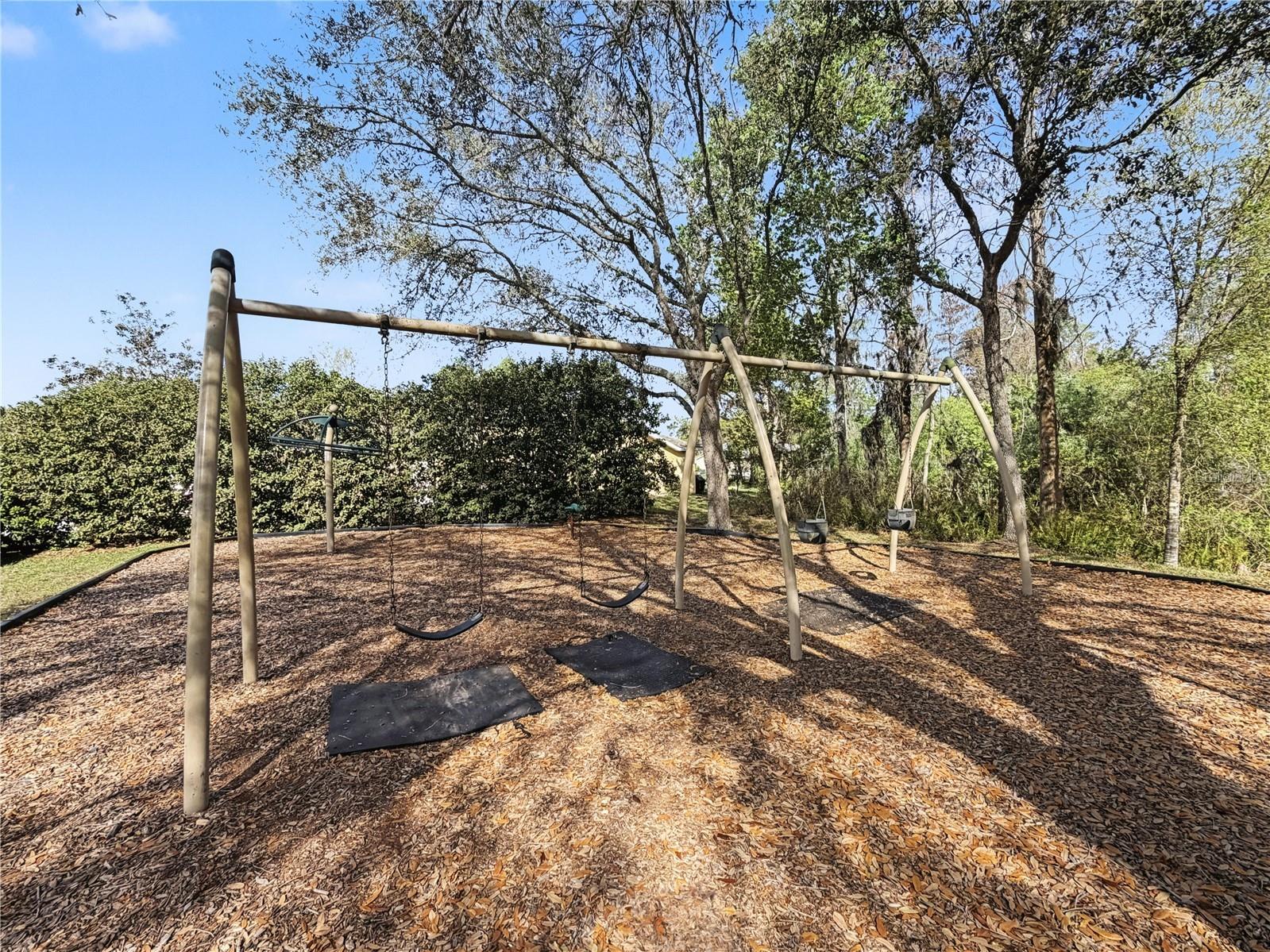 1031 Maravista Drive Trinity FL 34655 TB8484731 image91