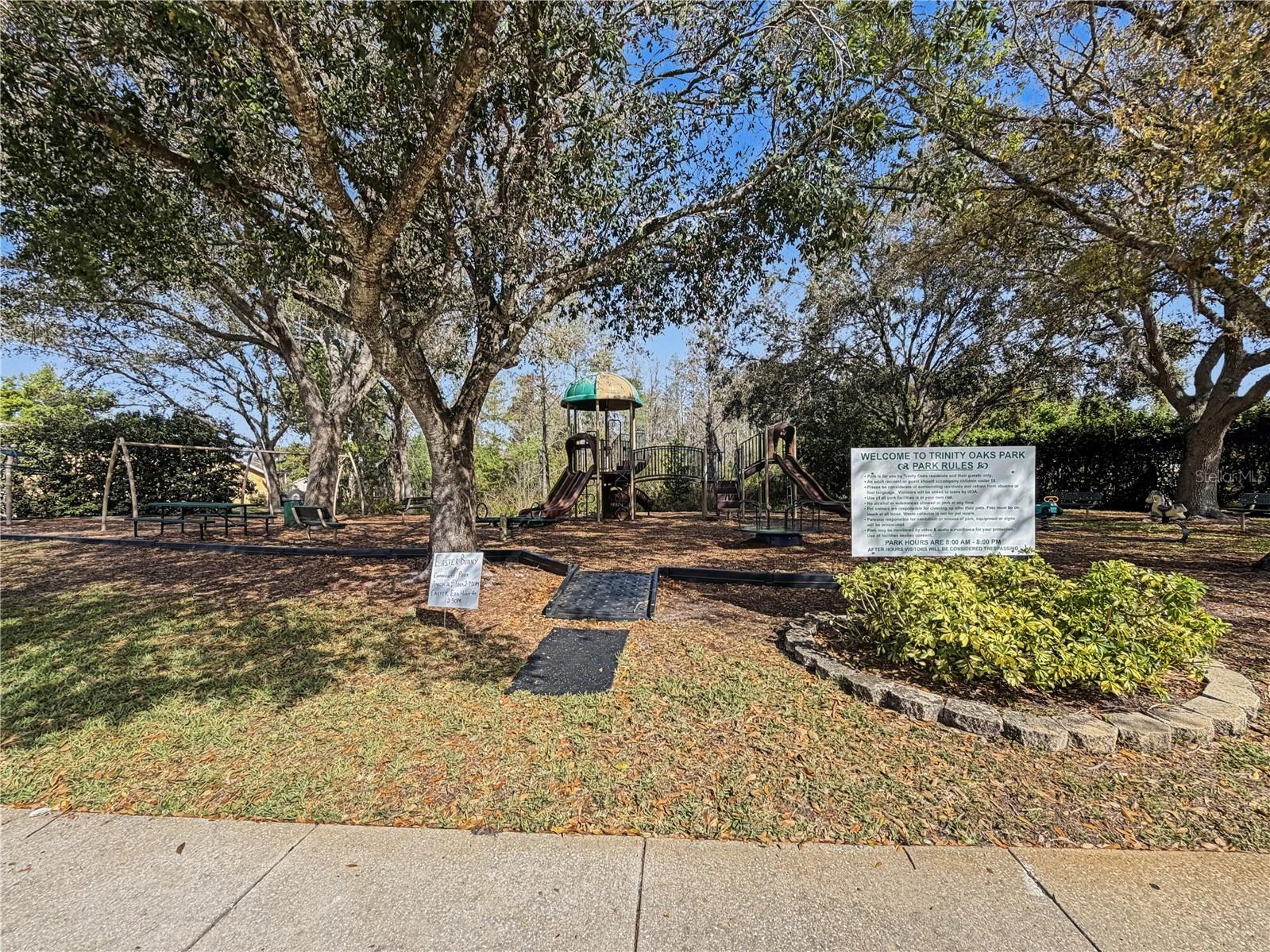 1031 Maravista Drive Trinity FL 34655 TB8484731 image92