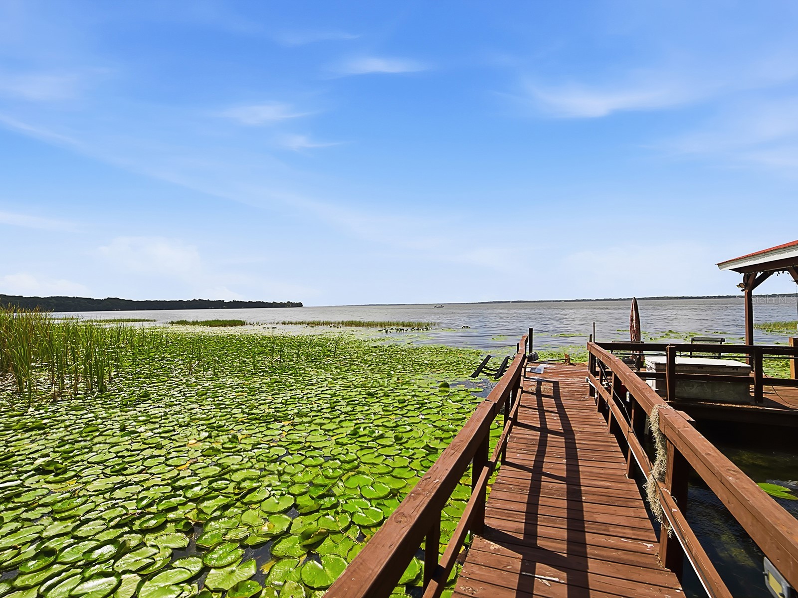 1031 Mellathon Circle Leesburg FL 34748 - LAKE HARRIS G5112201 image52