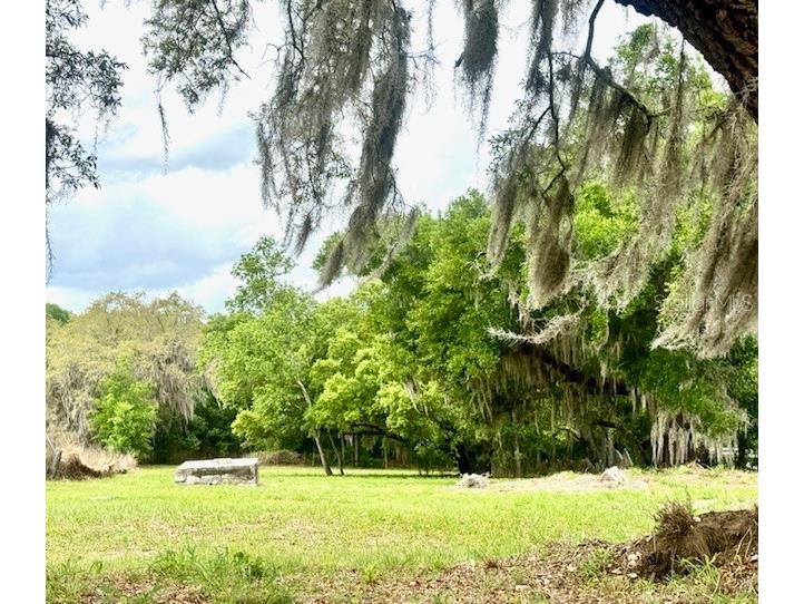 1031 Orange Boulevard Polk City FL 33868 B4902234 image1