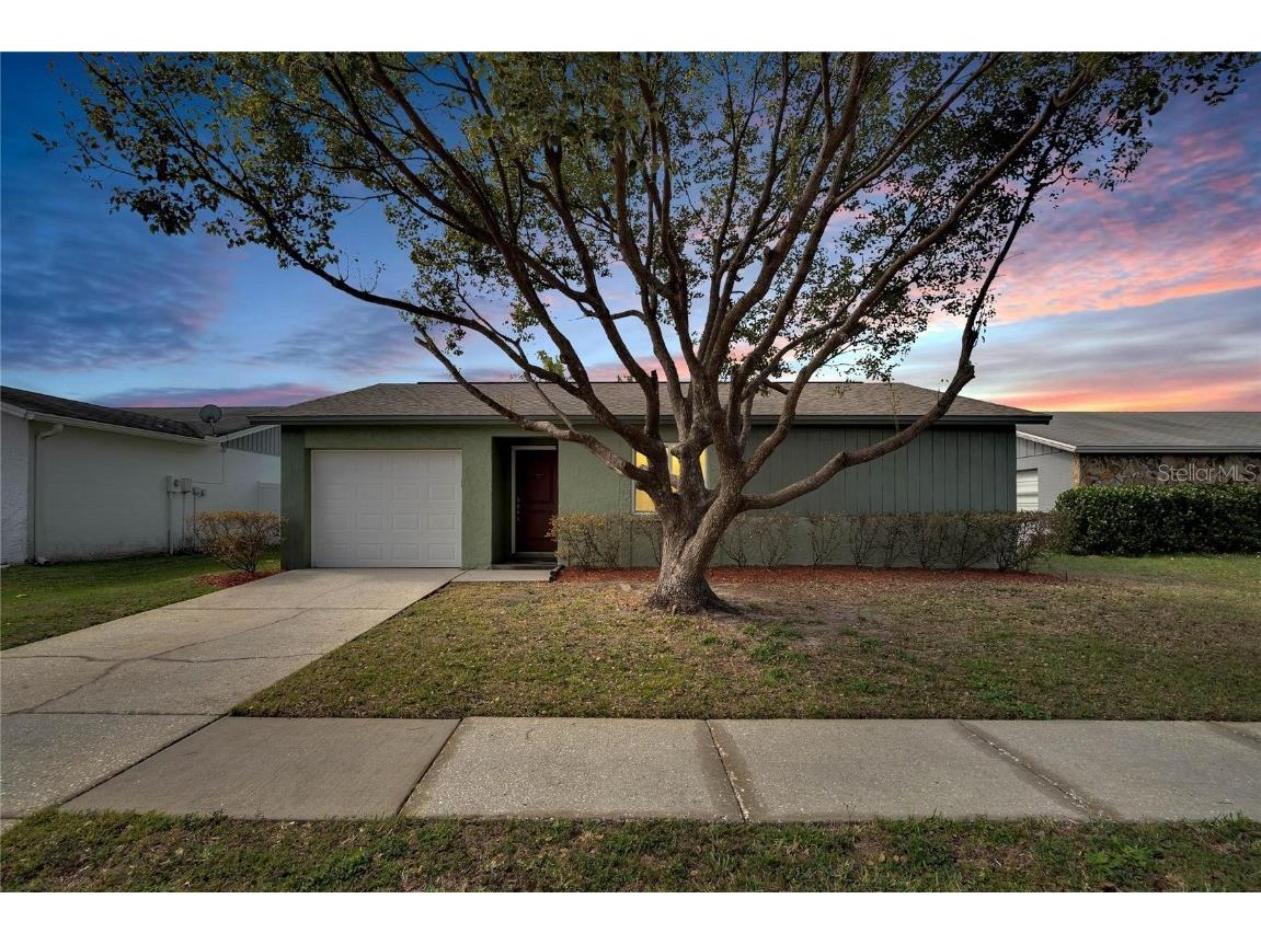 1031 Pine Ridge Circle Brandon FL 33511 T3504727 image1