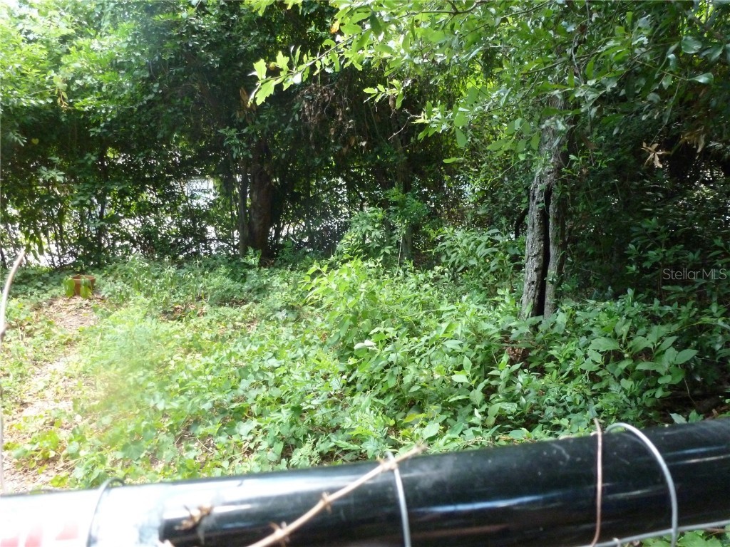 1031 SW 62nd Terrace Gainesville FL 32607 GC528739 image11