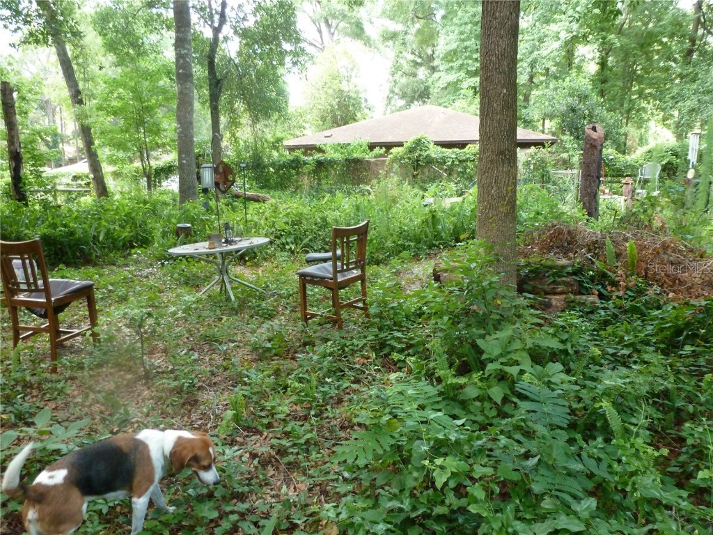 1031 SW 62nd Terrace Gainesville FL 32607 GC528739 image13