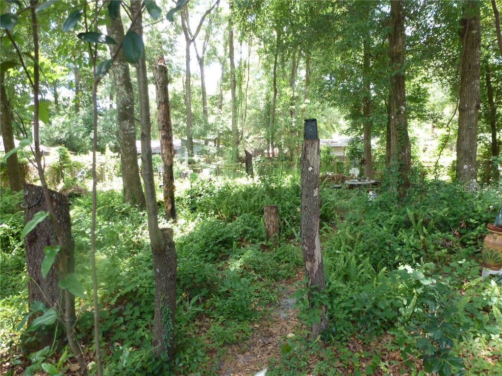 1031 SW 62nd Terrace Gainesville FL 32607 GC528739 image14