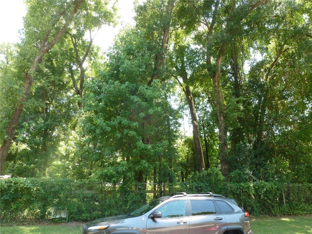 1031 SW 62nd Terrace Gainesville FL 32607 GC528739 image3