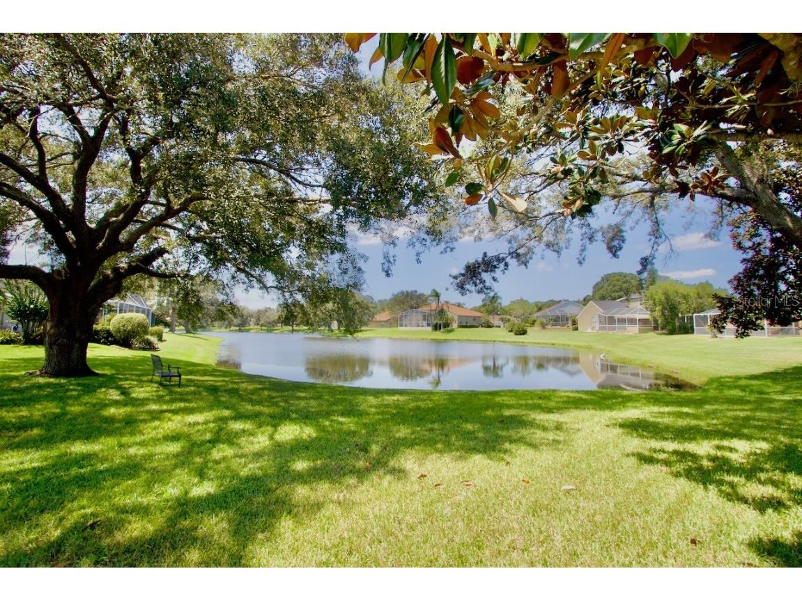 1031 Toski Drive Trinity FL 34655 W7856669 image1