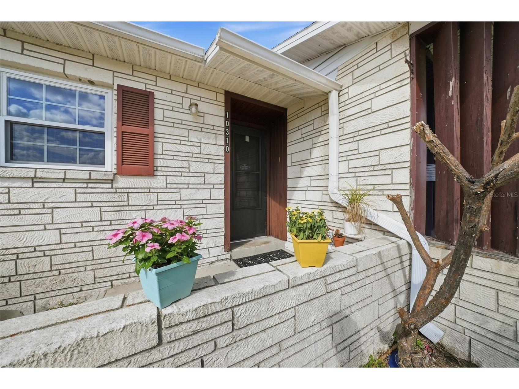 10310 Blue Field Ct Thonotosassa FL 33592 TB8520044 image3