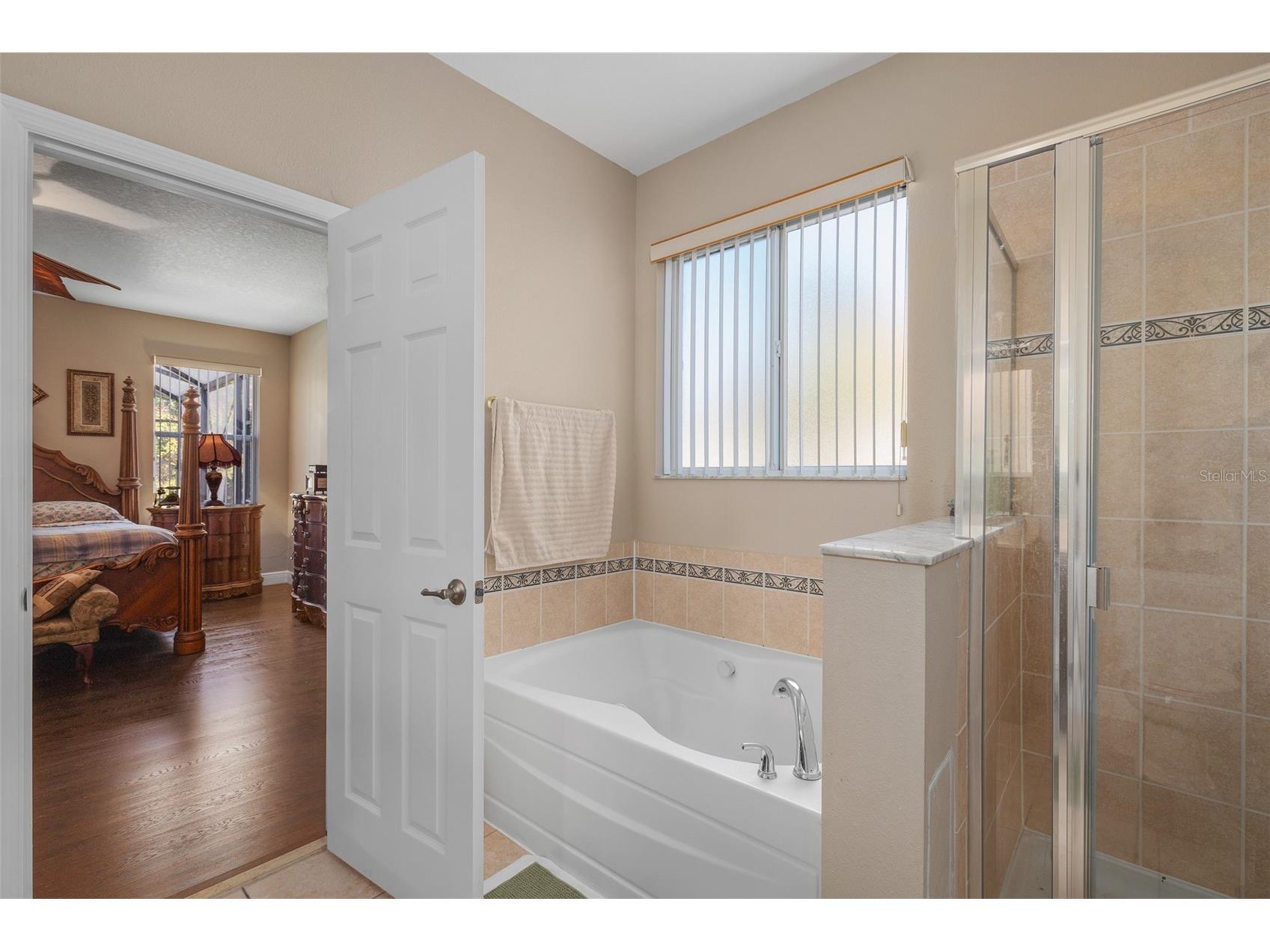 10310 Chorlton Circle Orlando FL 32832 S5142541 image22