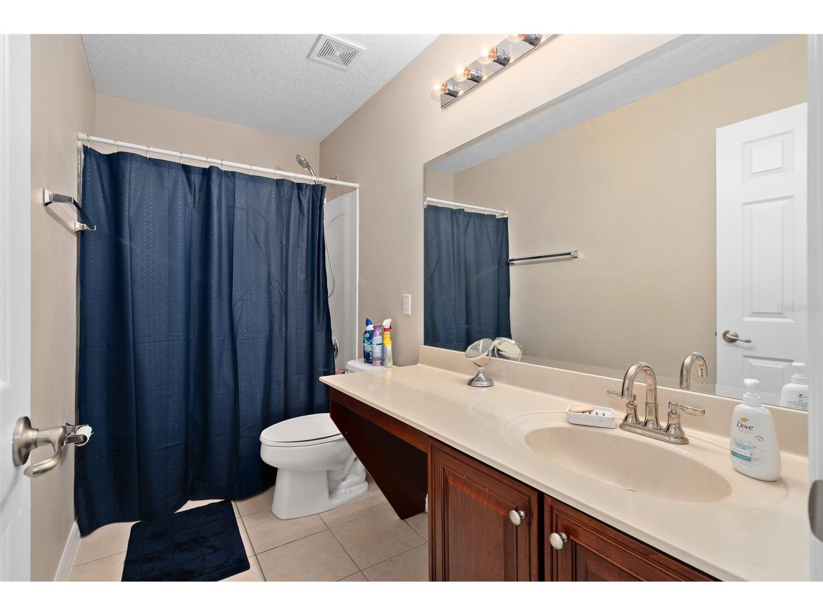 10310 Chorlton Circle Orlando FL 32832 S5142541 image29