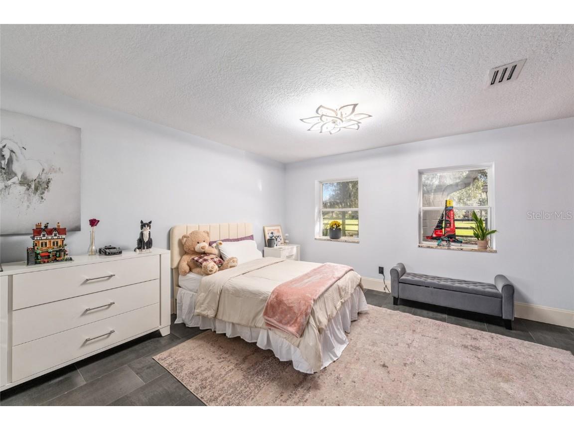 10310 Gopher Road Howey In The Hills FL 34737 OM713588 image8