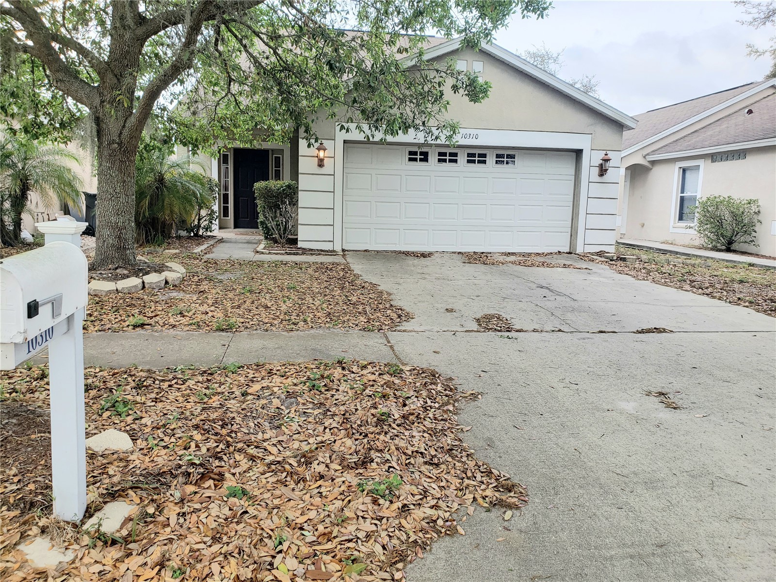 10310 Lakeside Vista Drive Riverview FL 33569 TB8492070 image1