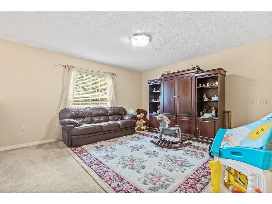 10311 Frog Pond Drive Riverview FL 33569 TB8387611 image10