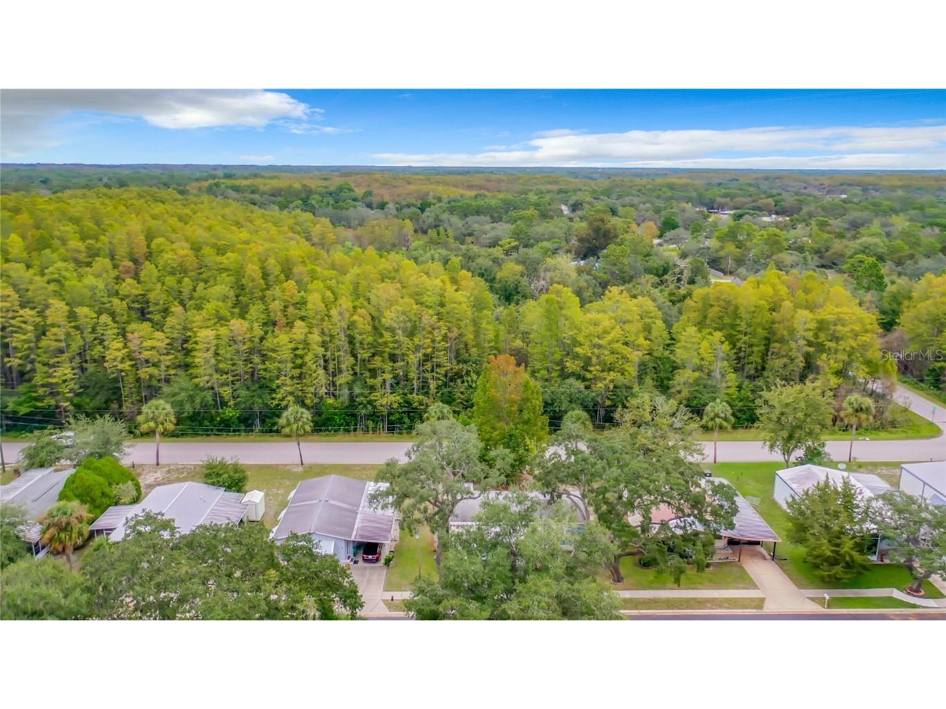 10311 Marinette Avenue Hudson FL 34667 W7871442 image50