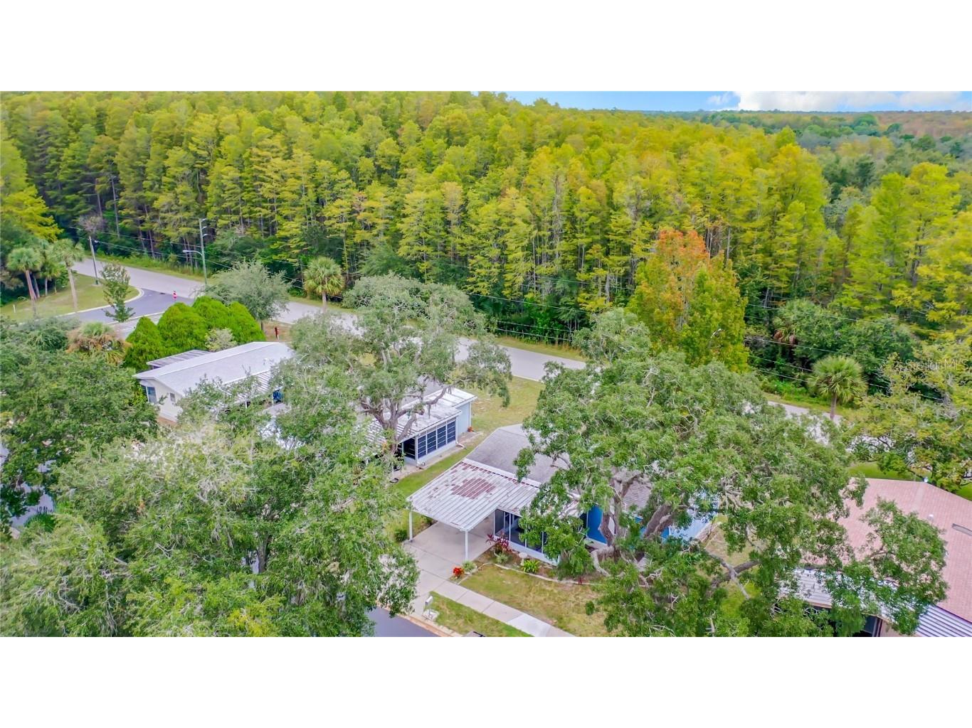 10311 Marinette Avenue Hudson FL 34667 W7871442 image51