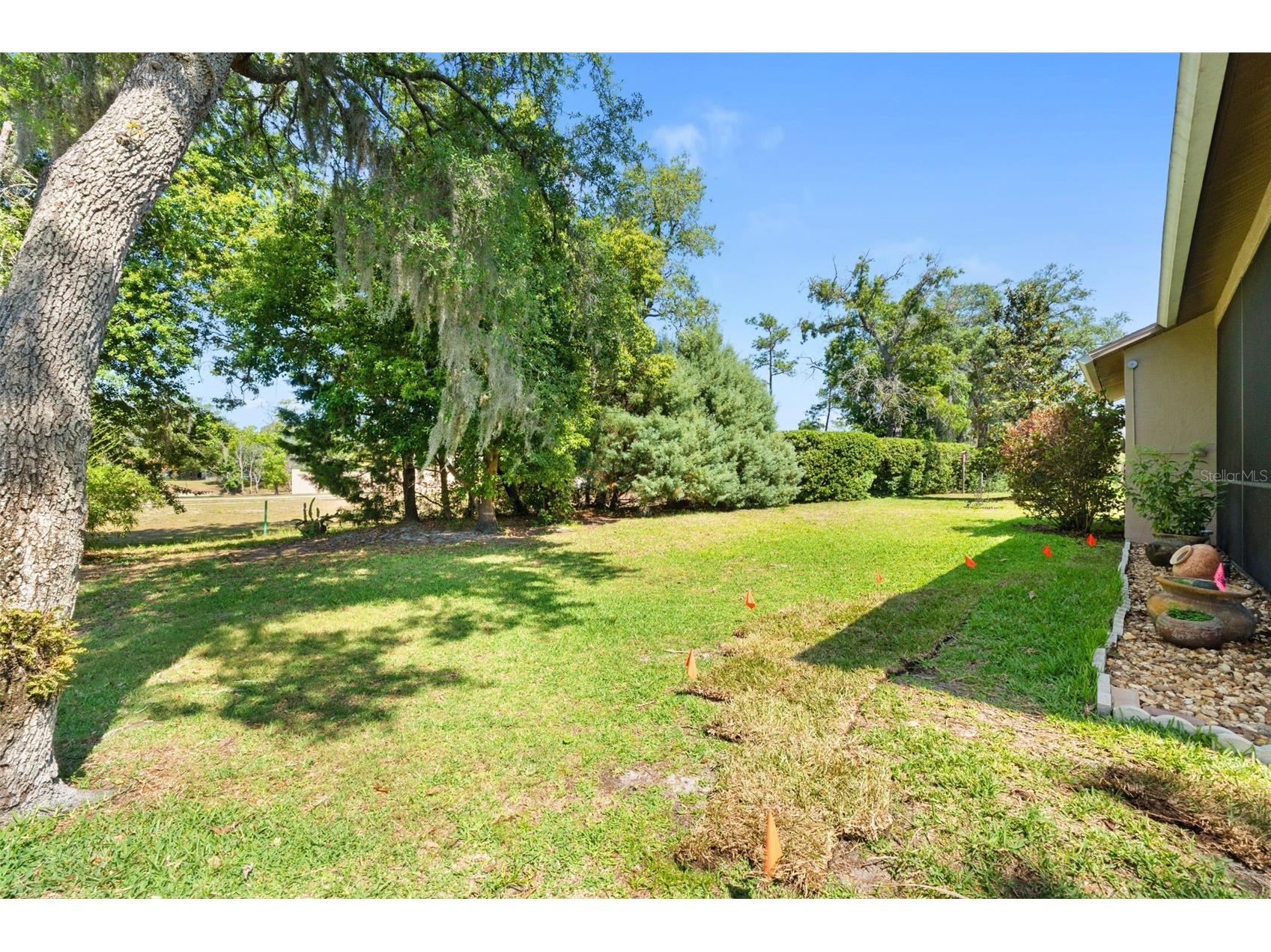 10311 Pineneedles Drive New Port Richey FL 34654 W7885307 image32