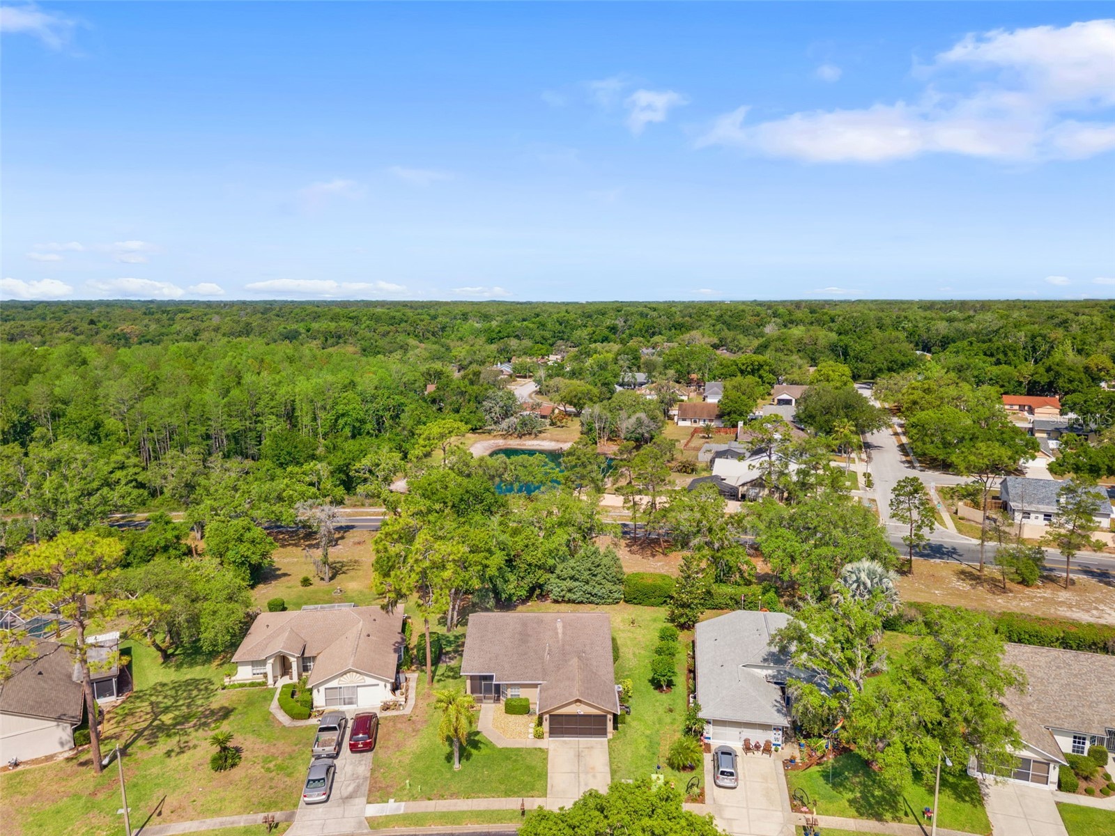10311 Pineneedles Drive New Port Richey FL 34654 W7885307 image35