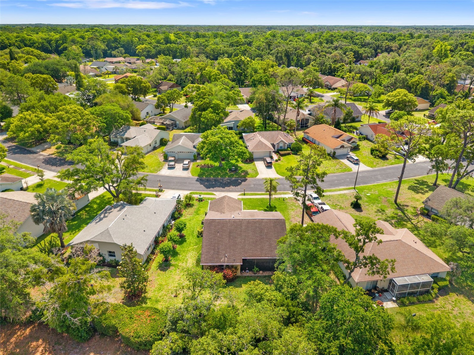 10311 Pineneedles Drive New Port Richey FL 34654 W7885307 image36