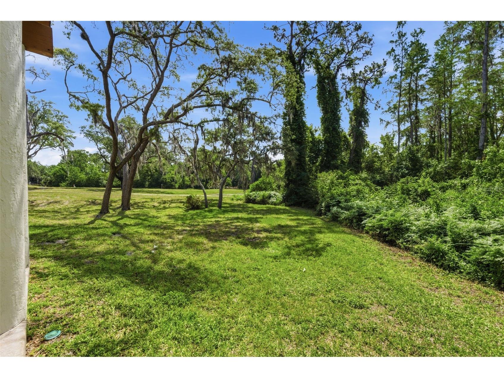 10311 Pineneedles Drive New Port Richey FL 34654 W7885307 image49