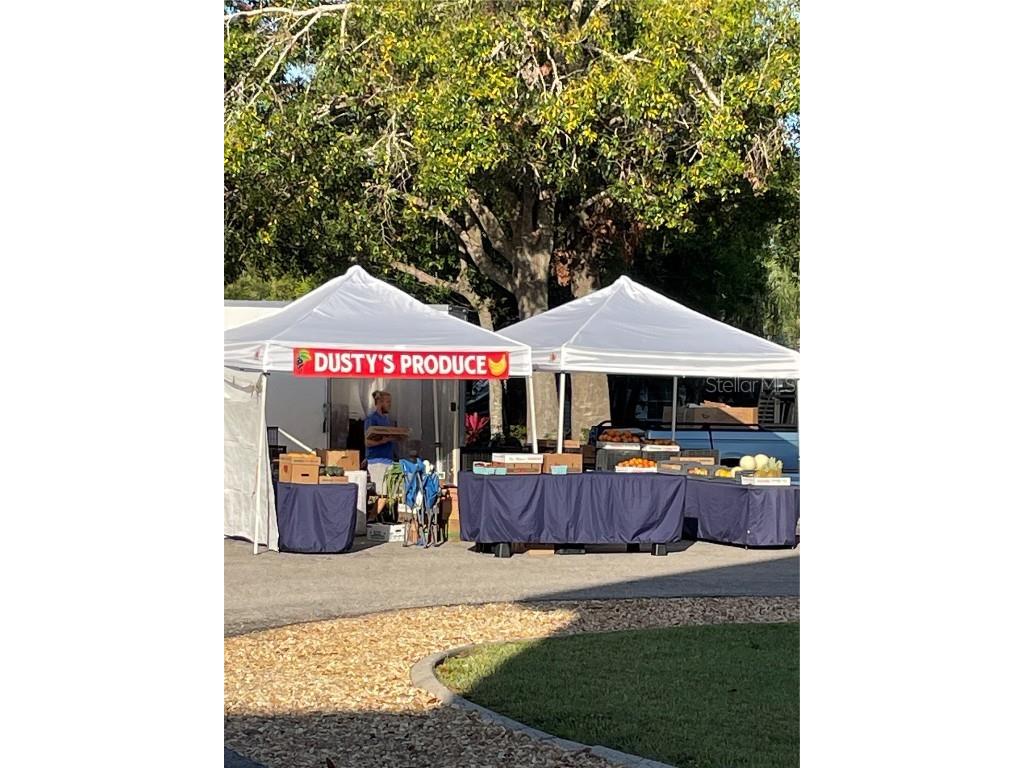 10313 Nightwood Drive Fort Myers FL 33905 C7518503 image29