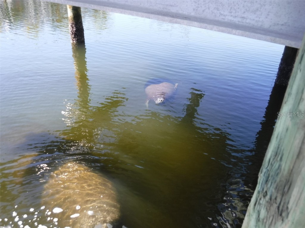 10313 Waterbird Way #4 Bradenton FL 34209 A4668805 image32