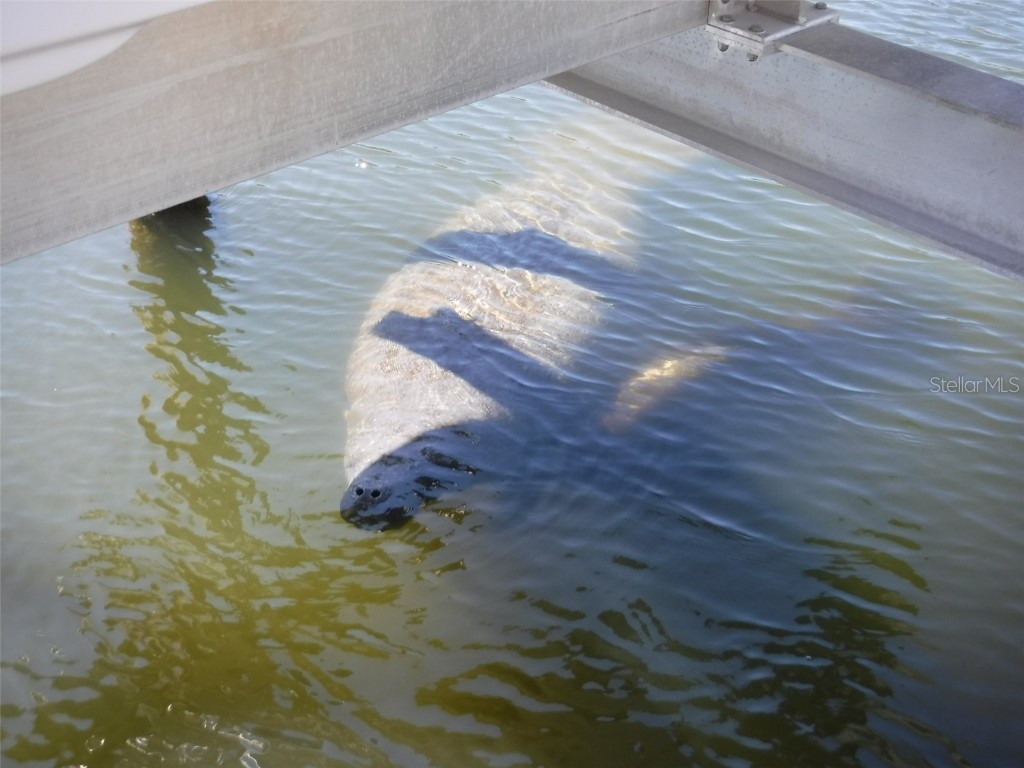 10313 Waterbird Way #4 Bradenton FL 34209 A4668805 image33