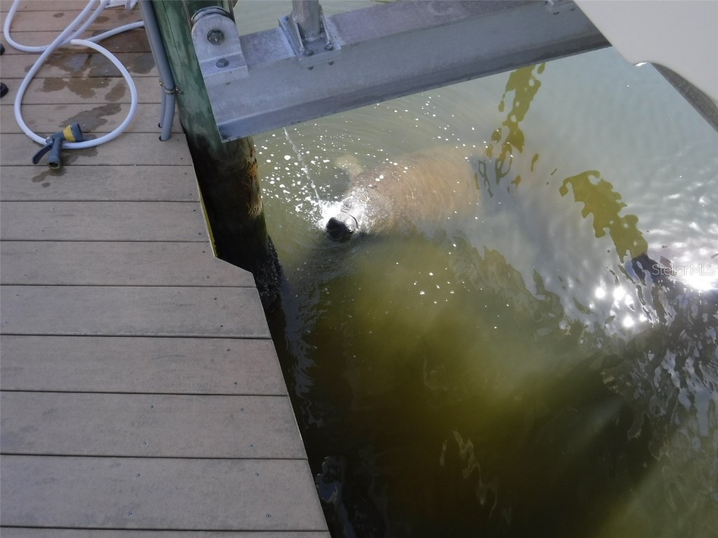 10313 Waterbird Way #4 Bradenton FL 34209 A4668805 image48