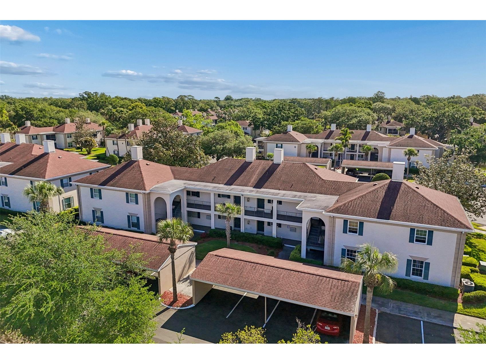 10314 Carrollwood Court #56 Tampa FL 33618 TB8498881 image39