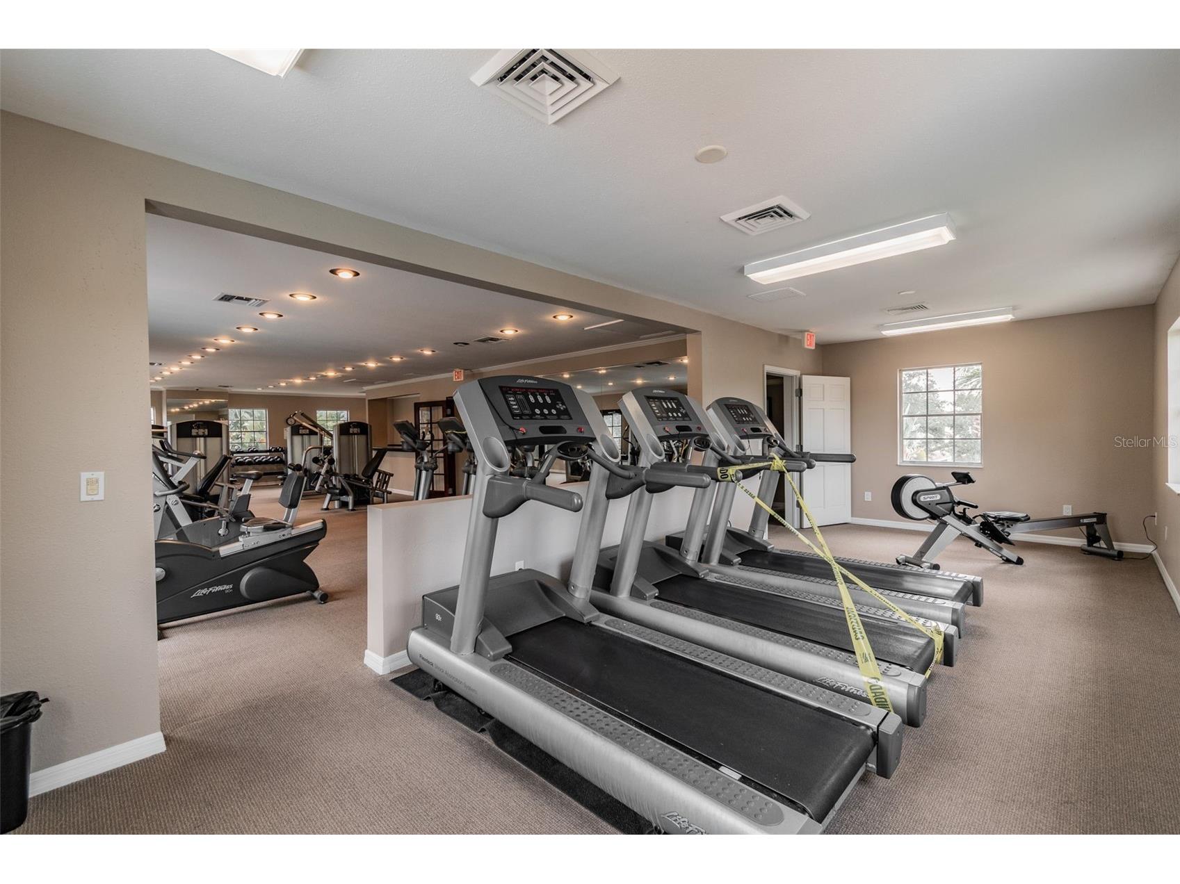 10314 Carrollwood Court #56 Tampa FL 33618 TB8498881 image49